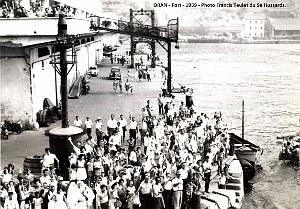 1212- Oran - Port - Photo Teulet Francis
